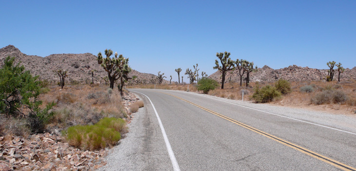 Joshua Tree National Park