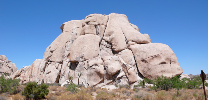 Joshua Tree National Park